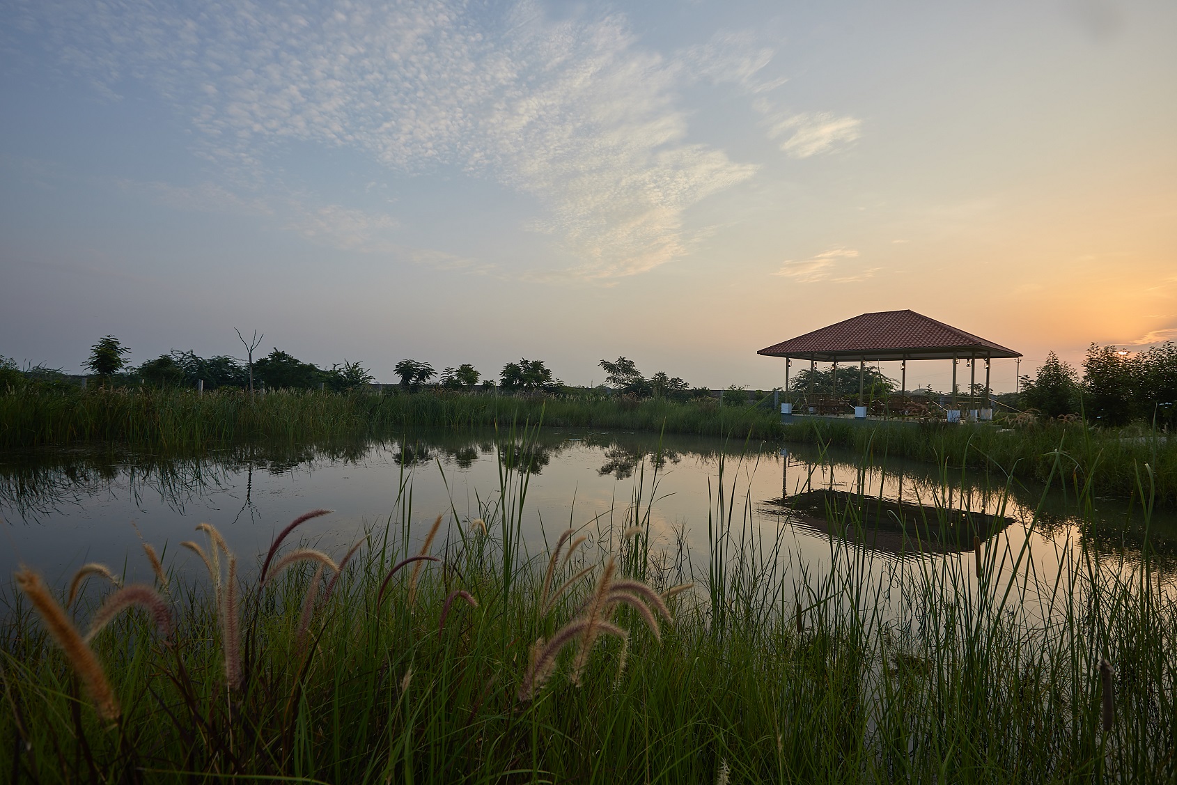 Blackbuck Safari Lodge