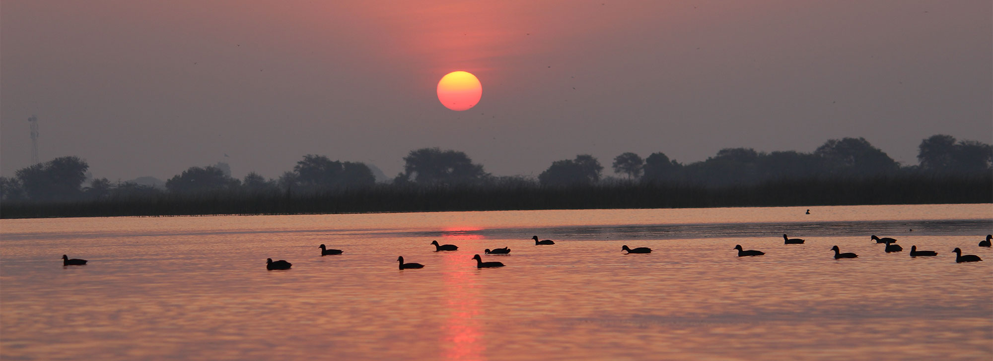 Nalsarovar Bird Sanctuary