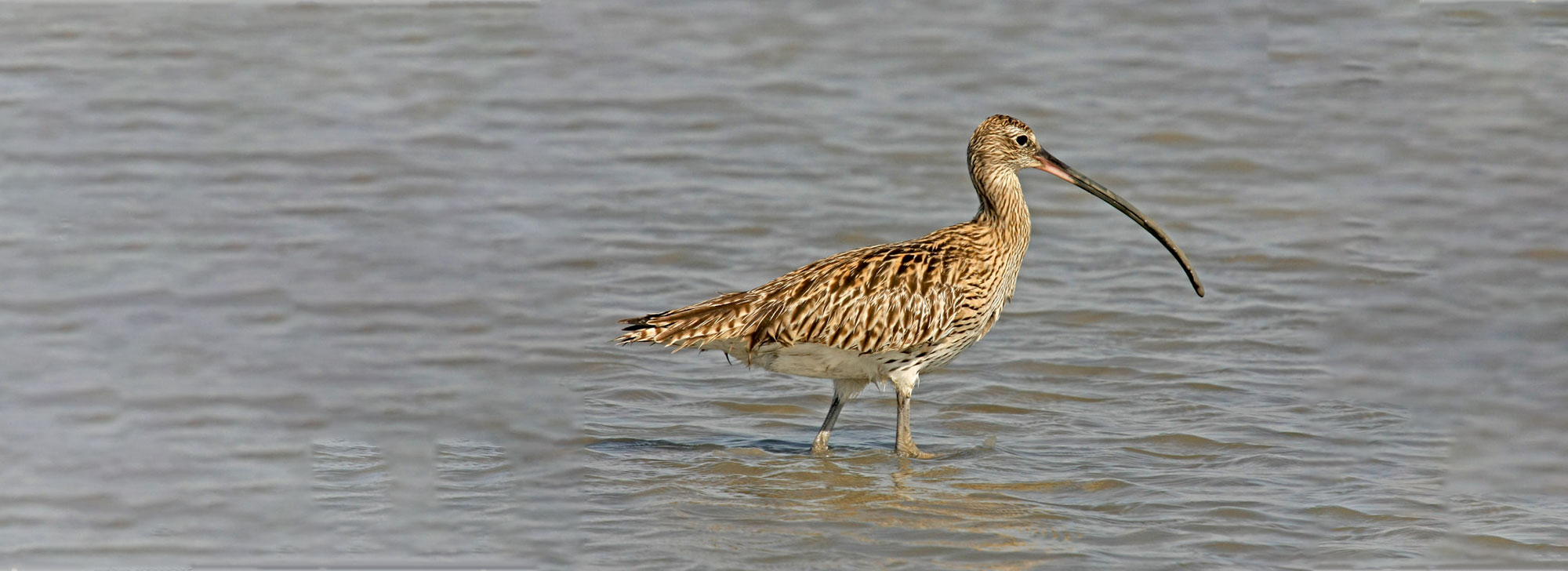 Narayan Sarovar & Wildlife Sanctuary