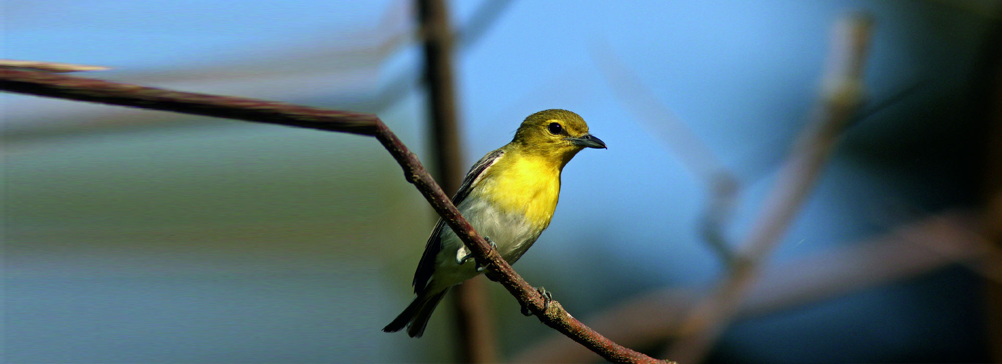 Rampara Wildlife Sanctuary