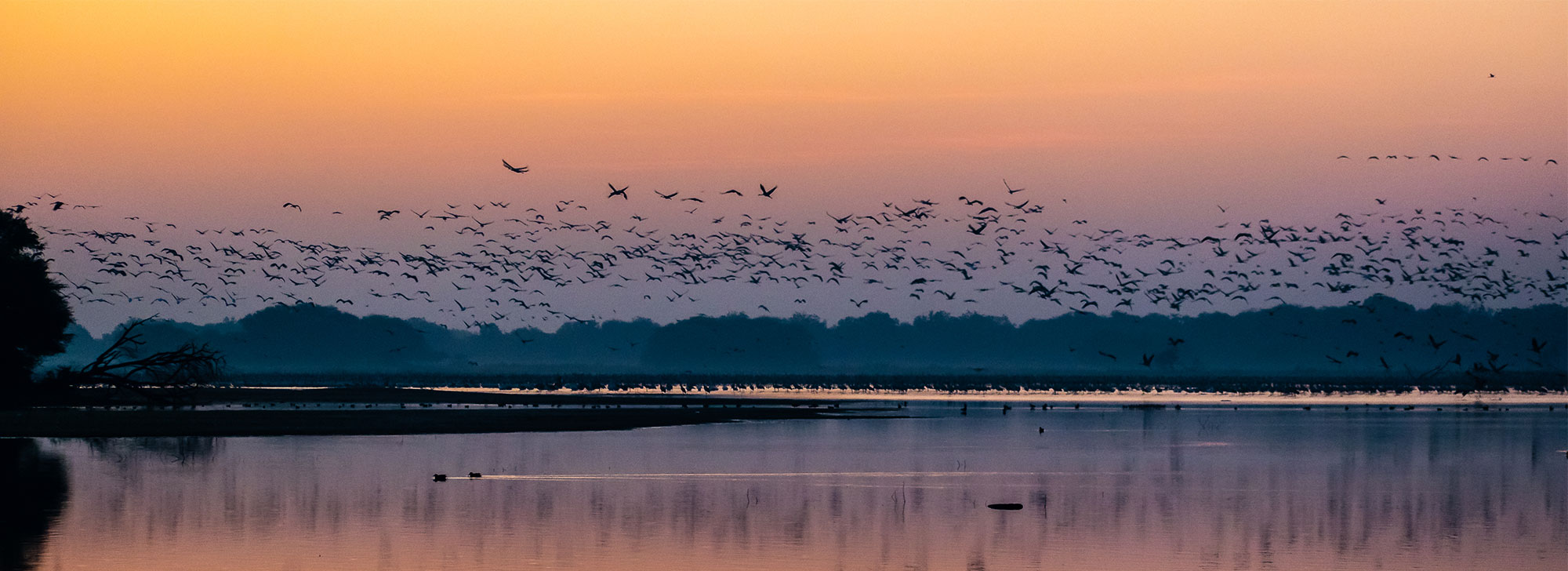 Thol Lake Sanctuary