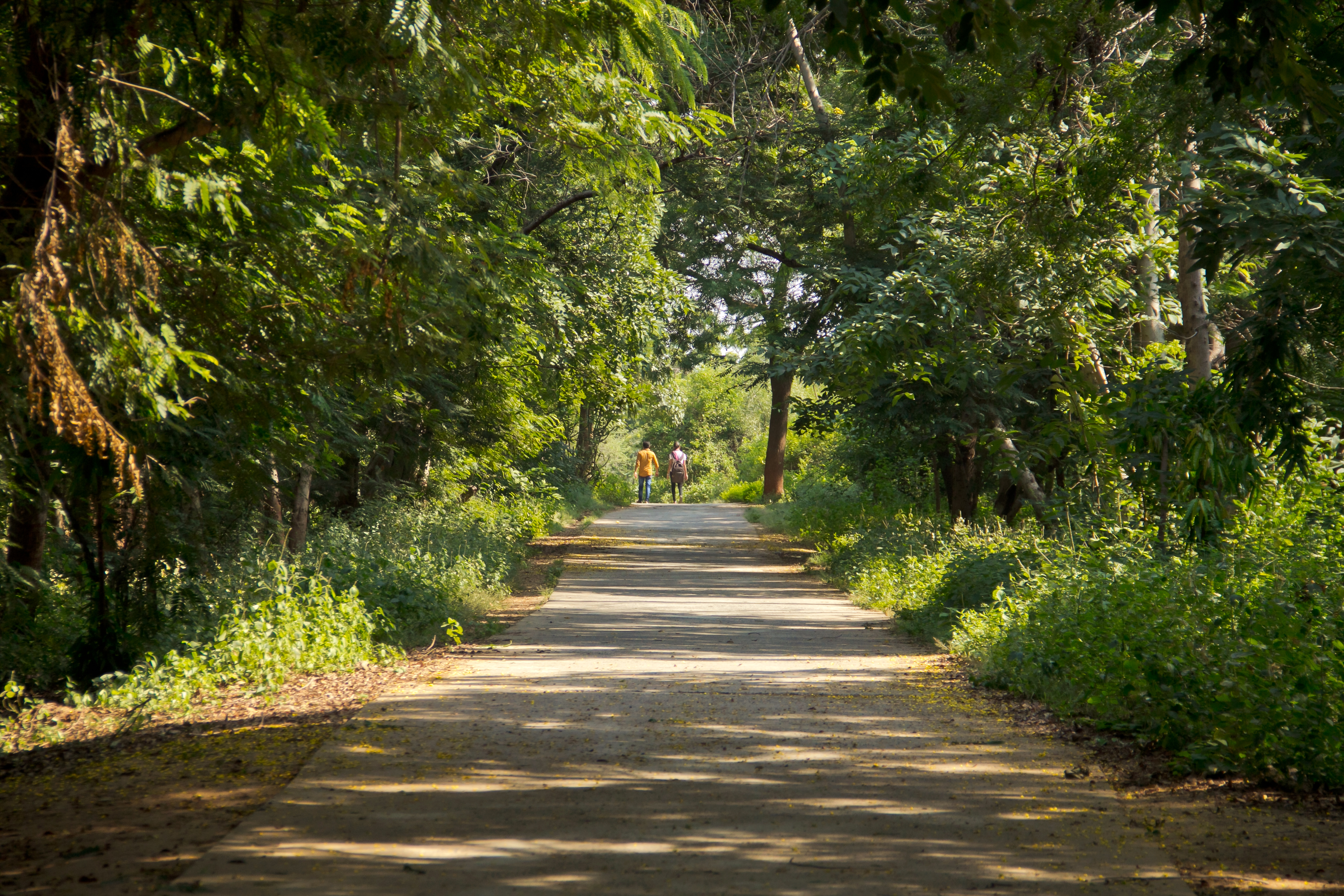 Indroda Park