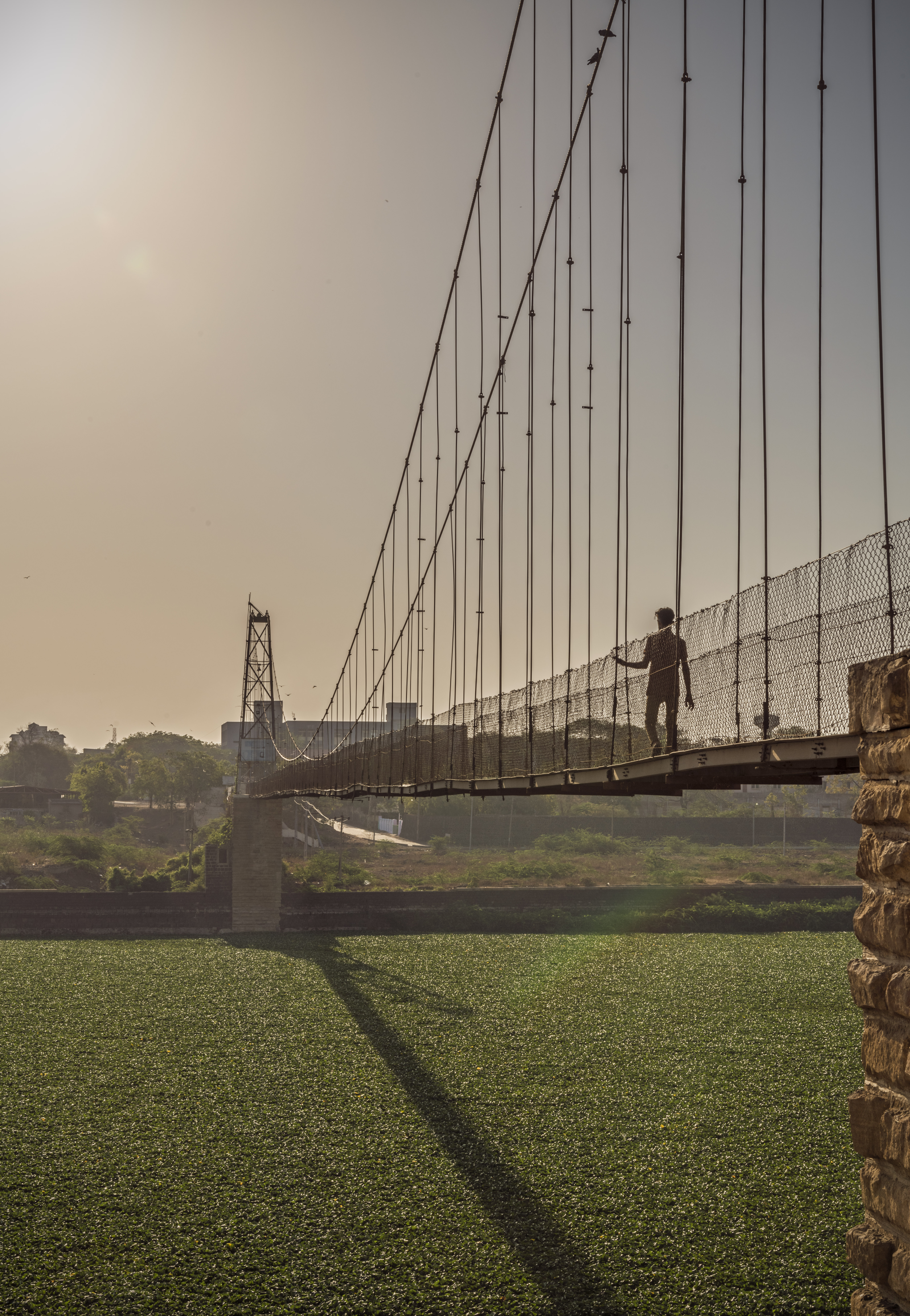 Man Found Hanging From Bridge Philadelphia Today - 8cb1q15