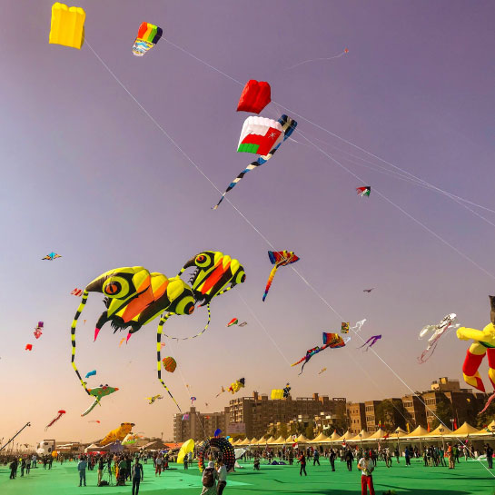 International Kite Festival