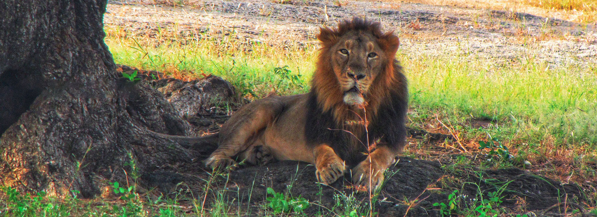 Barda Hills Wildlife Sanctuary