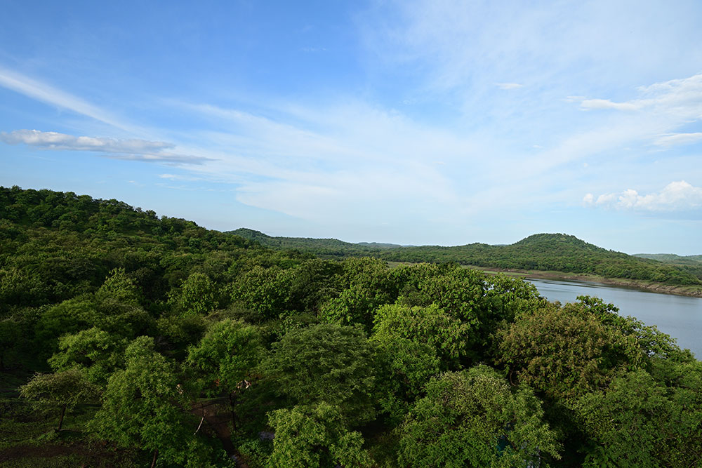 Gir national park