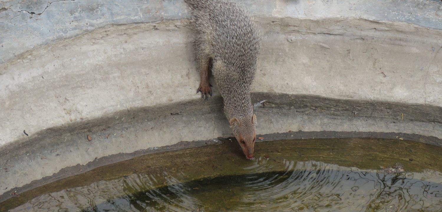 hingolgadh-nature-education-sanctuary