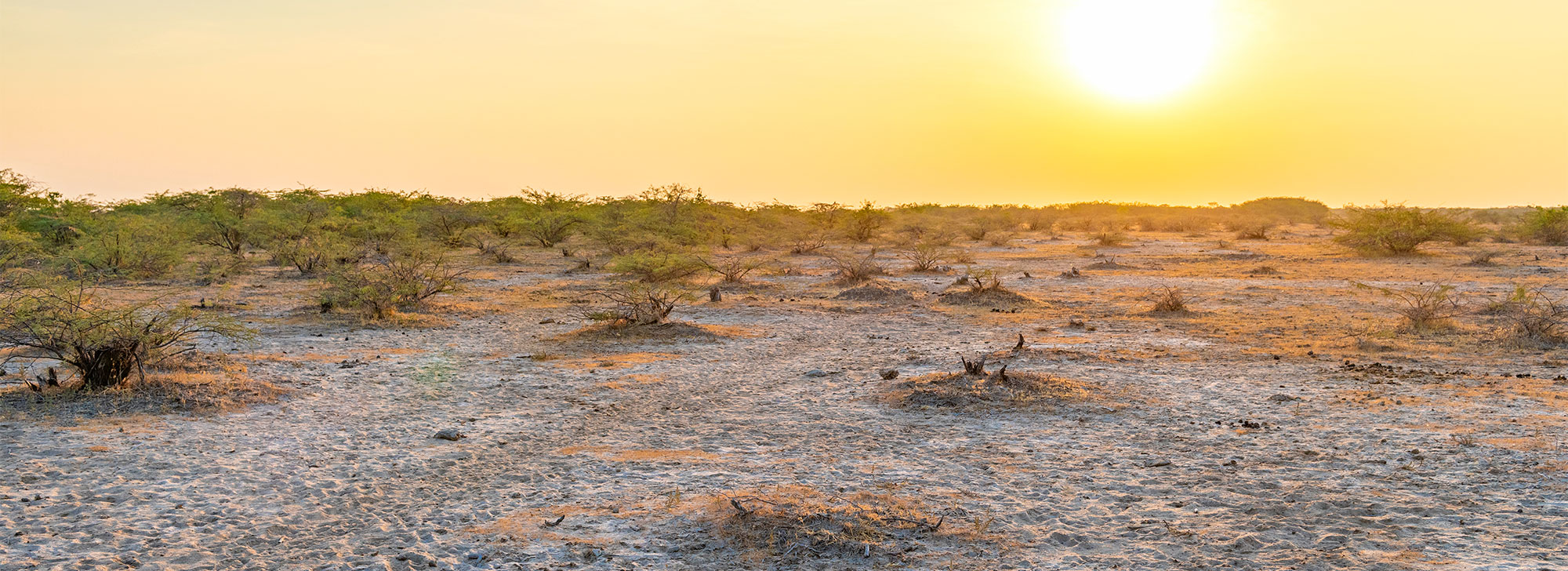 Kutch Desert Sanctuary