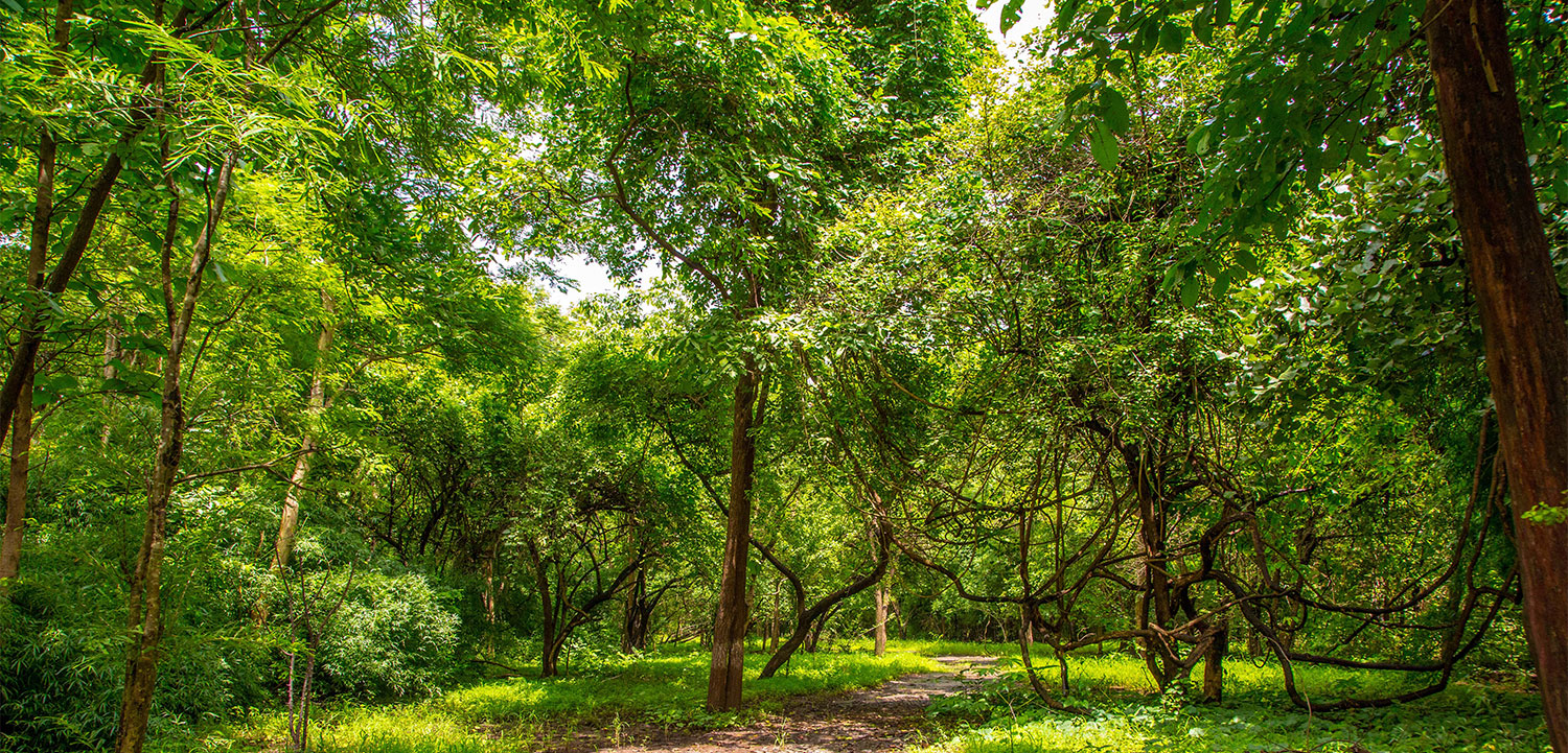 Purna Wildlife Sanctuary