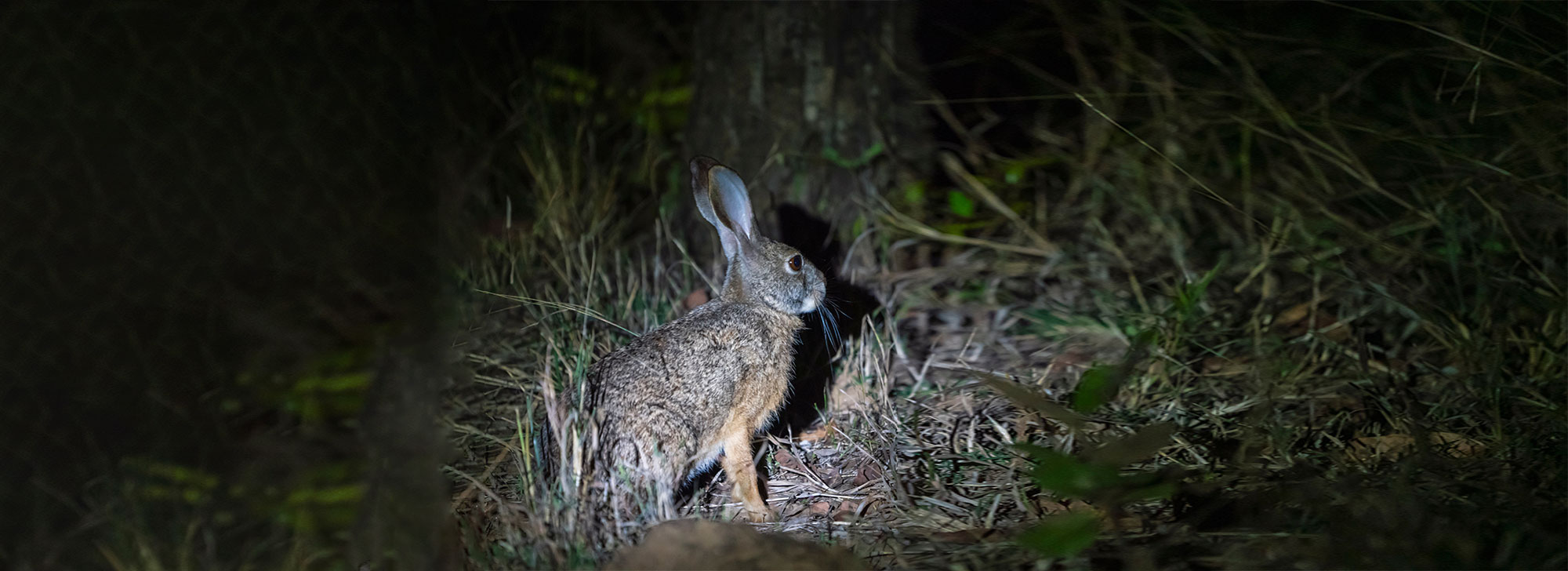 Rampara Wildlife Sanctuary