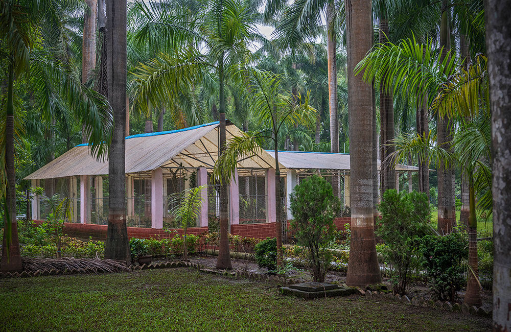 Waghai Botanical Gardens