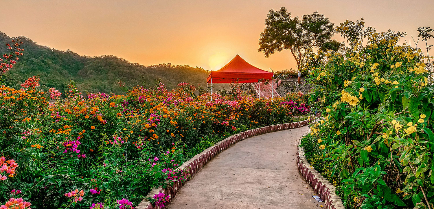 Valley of Flower