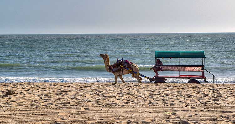 Coming up: The first five-star hotel of Gujarat right on the seashore