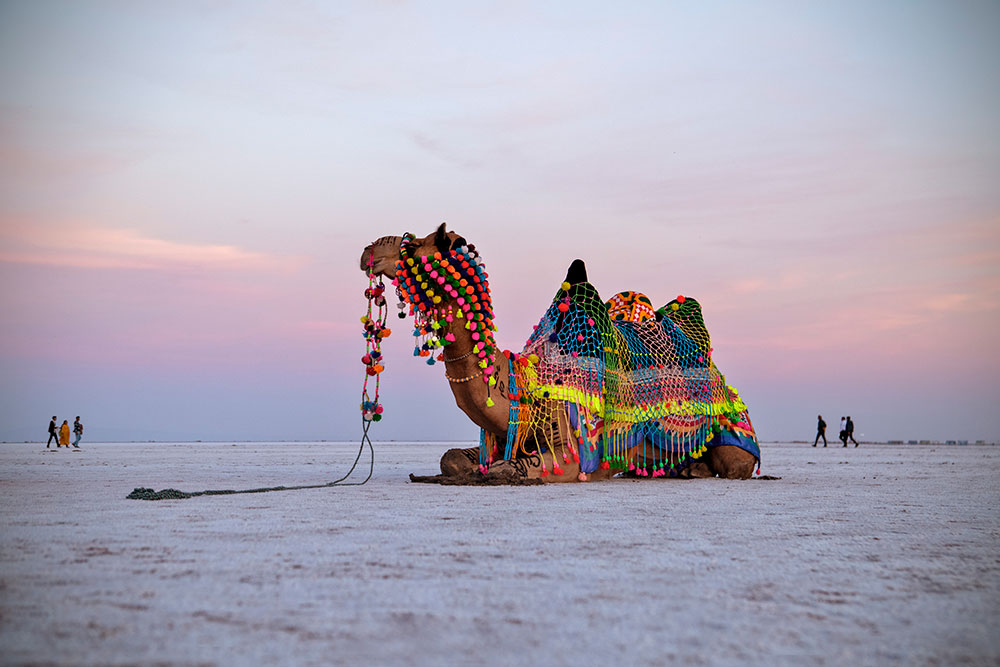 Travel Articles | Travel Blogs | Travel News & Information | Travel Guide |  India.comRann Utsav: Kutch at its best | India.com