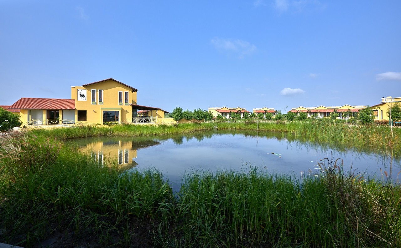 Blackbuck Safari Lodge