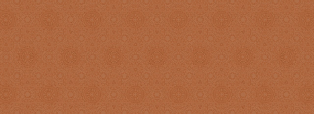 video gallery image